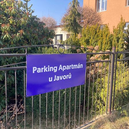 Apartman U Javoru Varnsdorf Exterior photo
