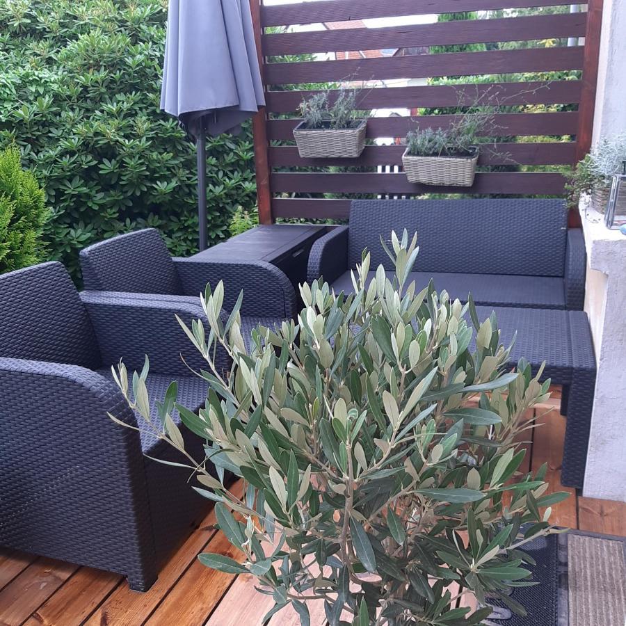 Apartman U Javoru Varnsdorf Exterior photo